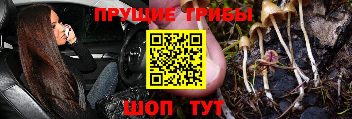 Галлюциногенные грибы Psilocybine cubensis  Вход с VPN  Псилоцибиновые грибы Psilocybe  Воркута 
